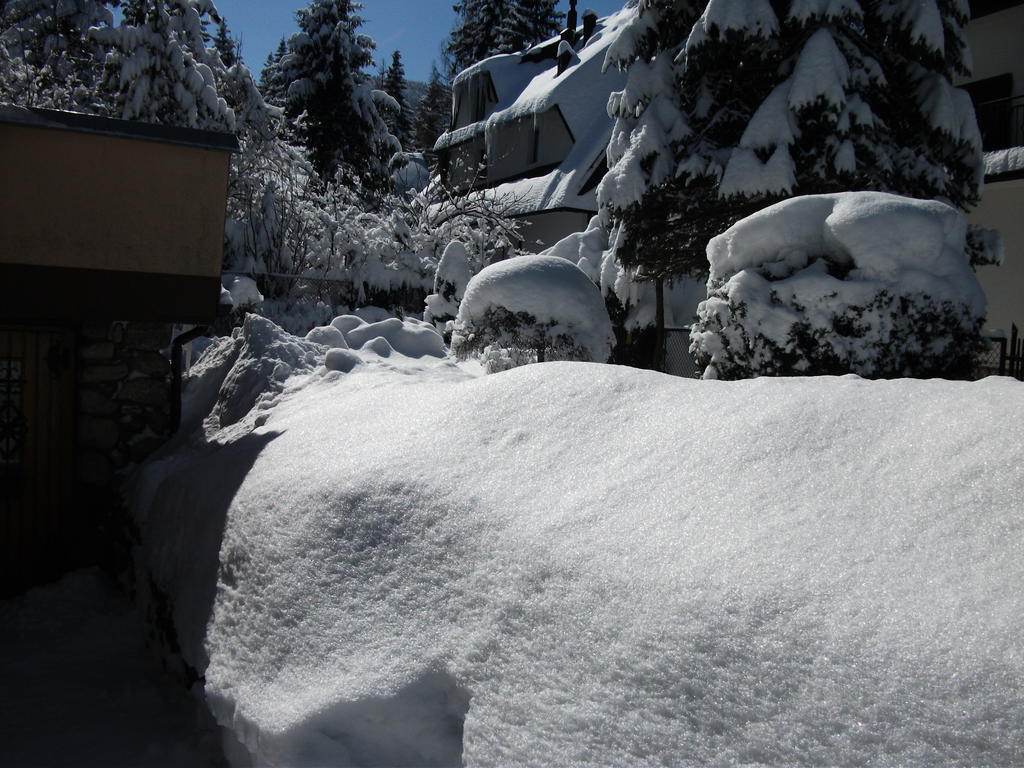 Willa Sezamek Blisko Szlakow I Centrum Zakopane Exterior foto